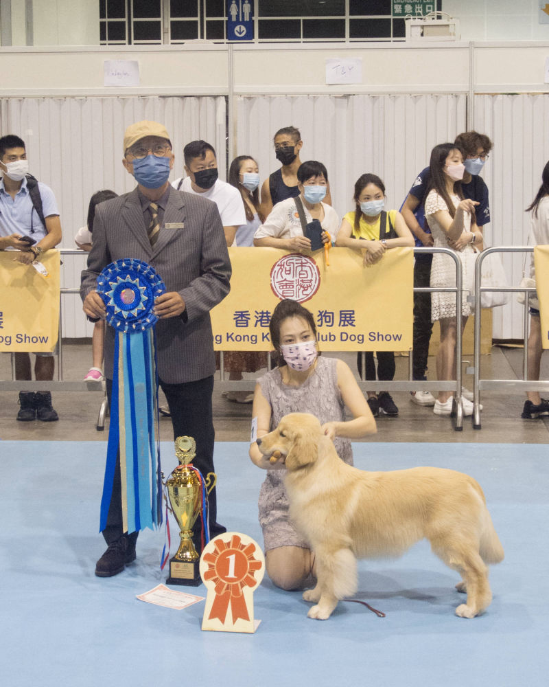 HK Kennel Club dog show 2021, 香港狗展, Michael Sim