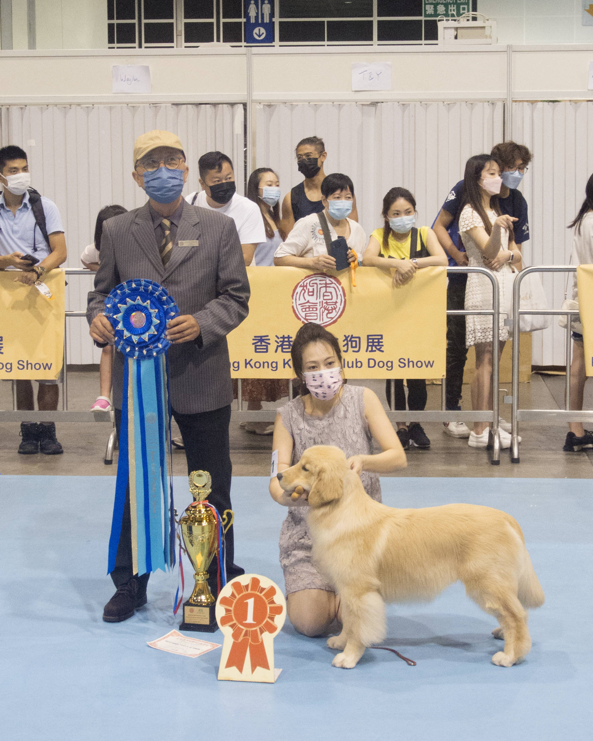 HK Kennel Club dog show 2021, 香港狗展, Michael Sim