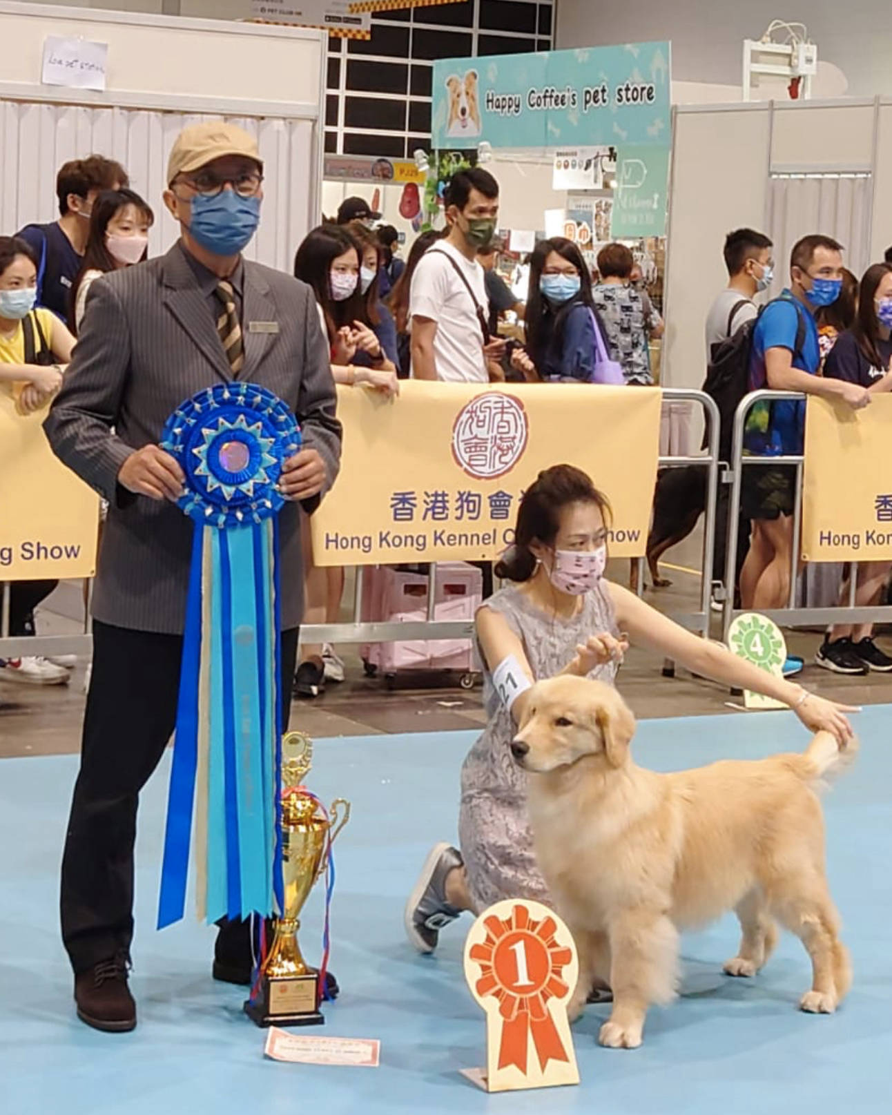 HK Kennel Club dog show 2021, 香港狗展, Windwood Pugs (Michael Sim)